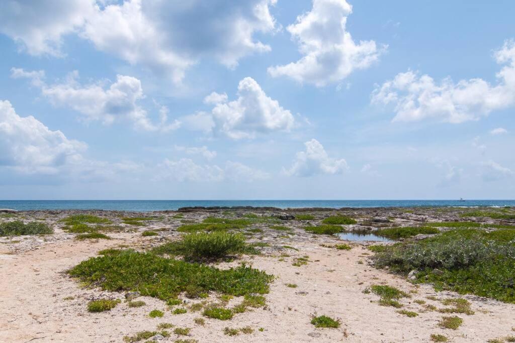 Ground Level Garden Condo At Akumal South By Tao Santamar Eksteriør bilde