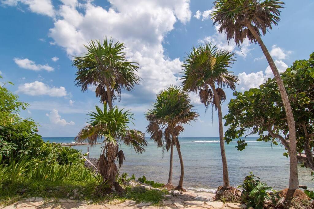 Ground Level Garden Condo At Akumal South By Tao Santamar Eksteriør bilde